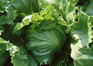 居酒家 土間土間 大宮東口店 – 究極の個室居酒屋体験