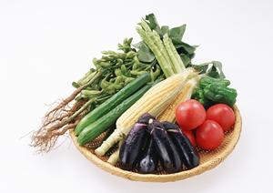 2025年最新｜新宿のカフェ完全ガイド｜絶対に外さないおすすめスポットと選び方