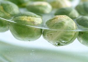 2026年最新版：みなとみらいで絶対に外さないラーメン店ベストガイド