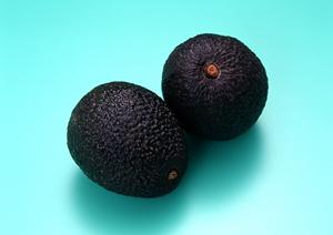 かまどか 秋葉原店の魅力と詳細ガイド